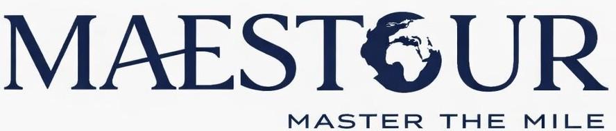 AI Logo